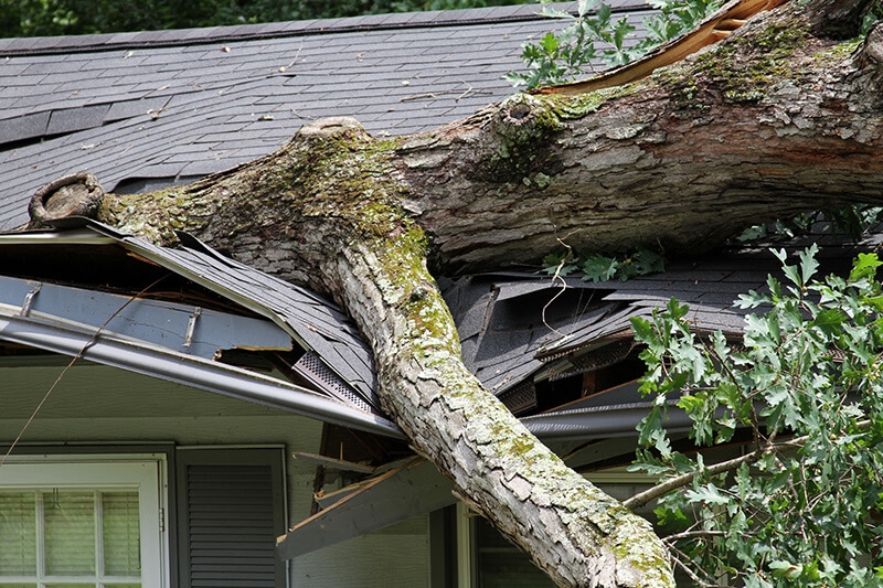 Storm Damage Restoration