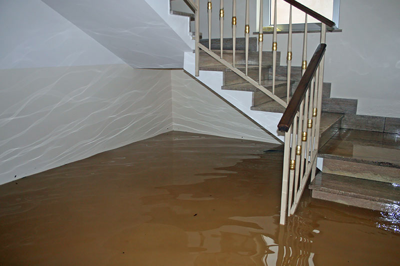 Water Damage Restoration Service | Greenwood, AR | Wall2Wall - Greenwood-1