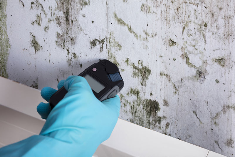 Mold Remediation in Poteau, OK | Wall2Wall Restoration - Poteau-3