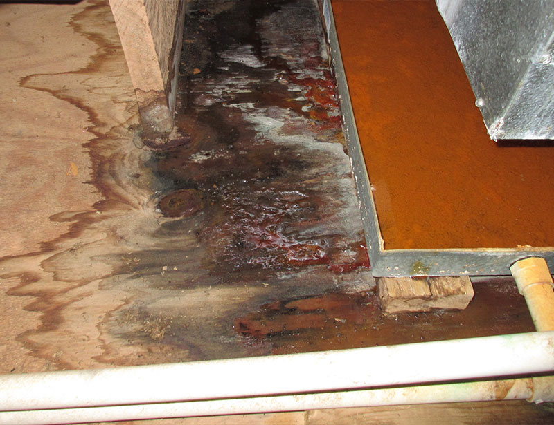 Water Damage Restoration in Van Buren, AR | Wall2Wall - Van-Buren-1