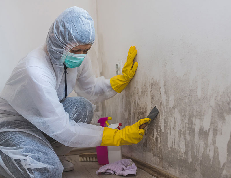 Mold Remediation Services | Alma, AR | Wall2Wall Restoration - alma-3