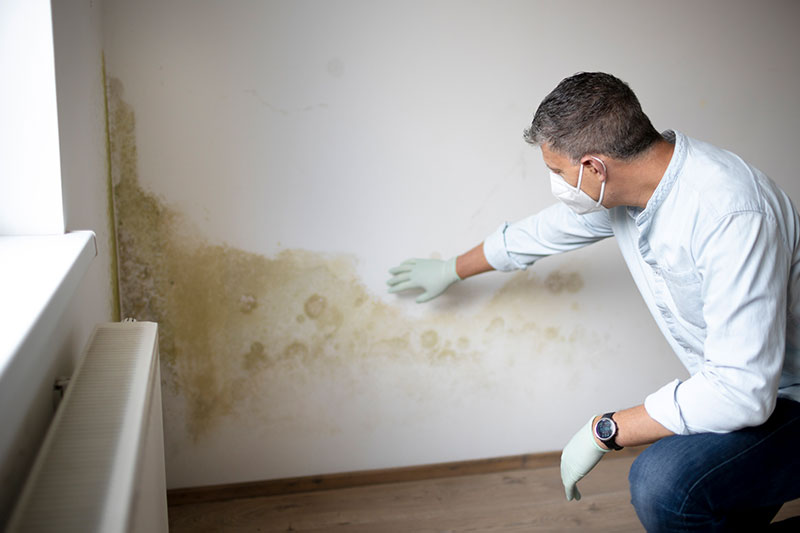 Mold Remediation in Barling, AR | Wall2Wall Restoration - barling-3